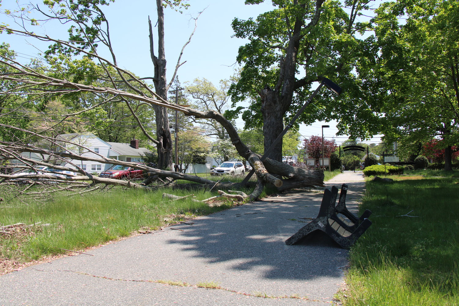 Downed trees are littered throughout the property, with residents having to use their own chainsaws and labor to clear out some of the bigger branches that have fallen.